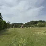 Marchewkowe Pole *