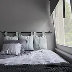 Chalet Marchewkowe Pole Sosnina