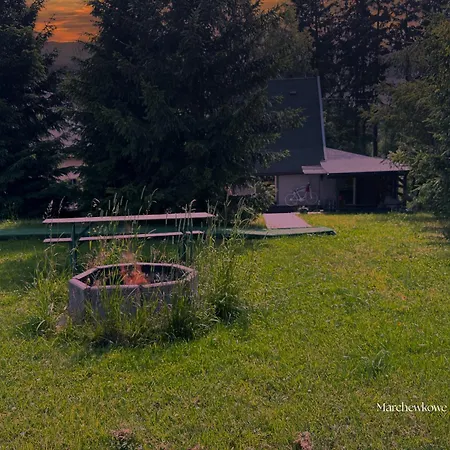 Marchewkowe Pole Sosnina