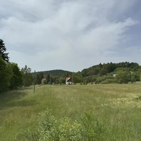 Marchewkowe Pole *