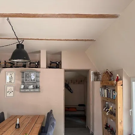 Marchewkowe Pole * Sosnina