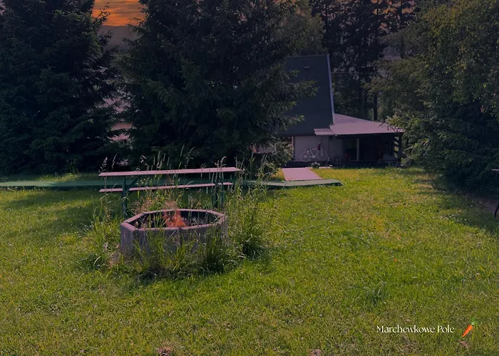 Marchewkowe Pole Sosnina