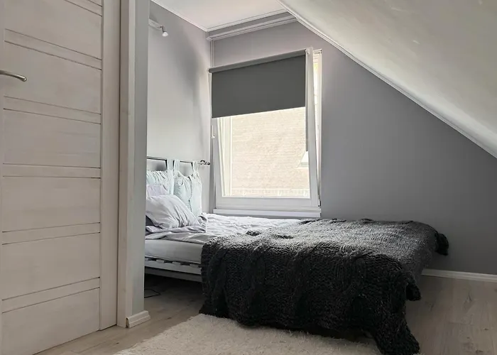 Marchewkowe Pole Sosnina