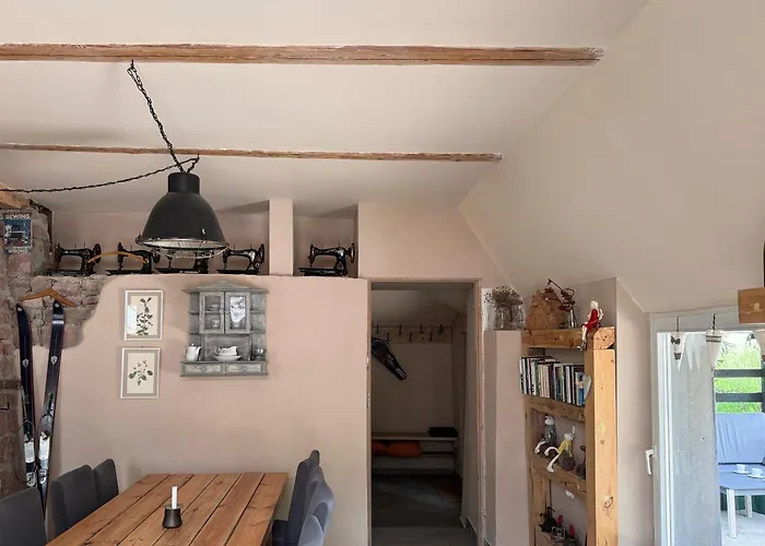 Marchewkowe Pole * Sosnina