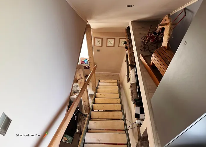 Chalet Marchewkowe Pole *