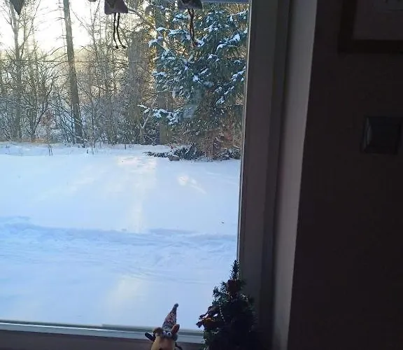 Marchewkowe Pole Chalet