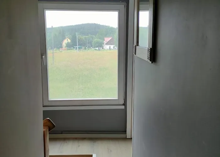 Marchewkowe Pole * Sosnina